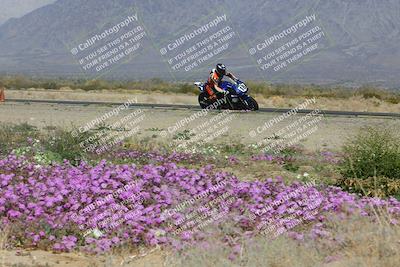 media/Feb-04-2023-SoCal Trackdays (Sat) [[8a776bf2c3]]/Turn 15 Inside Blooming (1050am)/